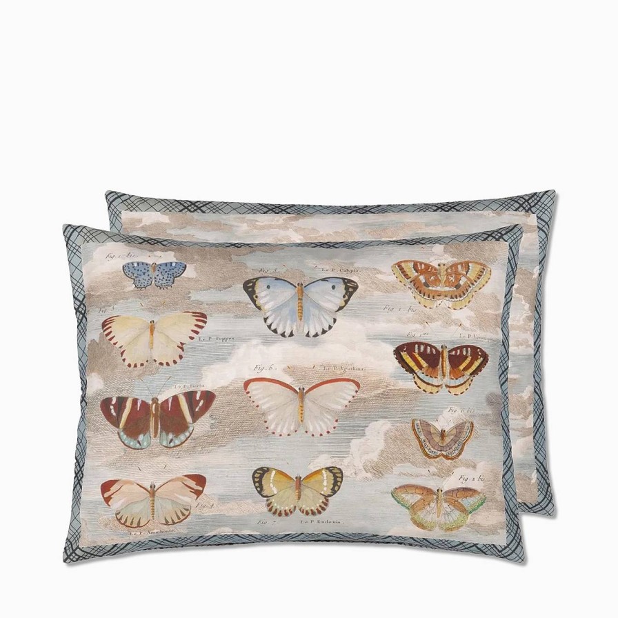 John Derian Kudde Butterfly Studies 45X60 Cm | Kuddar